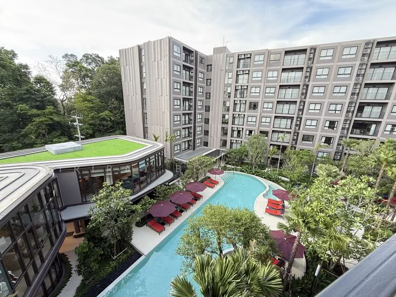 THE Base Cherngtalay, Phuket, Choeng Thale, Thalang, Phuket, 2 Bedrooms, 70 sqm, Condo For Rent, by Sirirat Boonpitak , 500469448 - DDproperty.com