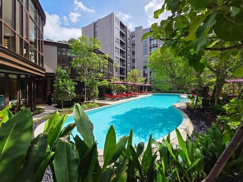 THE Base Cherngtalay, Phuket, Choeng Thale, Thalang, Phuket, 2 Bedrooms, 65 sqm, Condo For Rent, by Sirirat Boonpitak, 500469448 - DDproperty.com