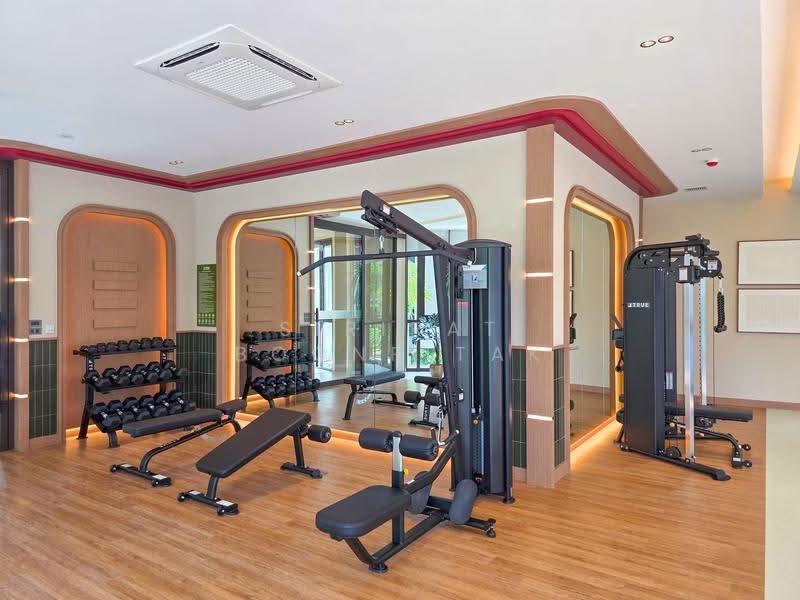 THE Base Cherngtalay, Phuket, Choeng Thale, Thalang, Phuket, 2 Bedrooms, 65 sqm, Condo For Rent, by Sirirat Boonpitak, 500469448 - DDproperty.com