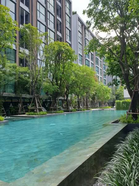 Vtara Sukhumvit 36 : วีธารา สุขุมวิท 36, กรุงเทพ, 118 ซอยแสนสบาย, พระโขนง, คลองเตย, กรุงเทพ, 58 ตร.ม., คอนโด ให้เช่า, โดย Vichai Annavakulthorn, 500469466 - DDproperty.com