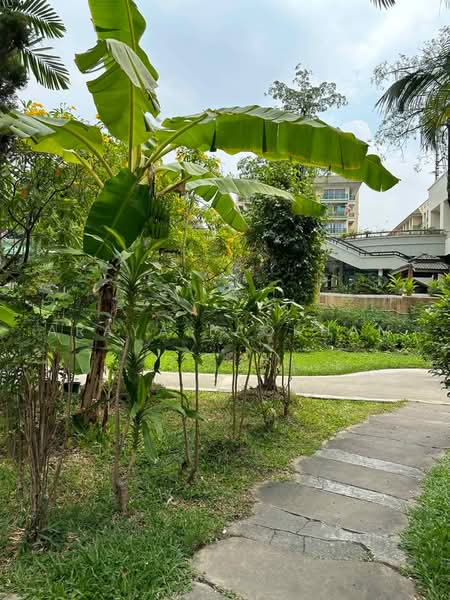 The Parkland Bangna, Bangkok, Soi Bangna-Trat 37 Bangna-Trat Road, Bang Na, Bangkok, 2 Bedrooms, 50 sqm, Condo For Rent, by Araya Laokham, 500469641 - DDproperty.com