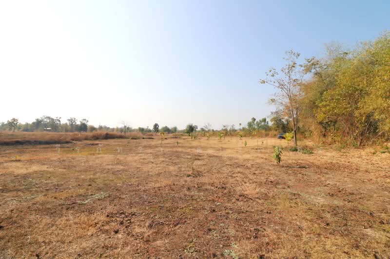 Muang Udon Thani, Udon Thani, Nong Na Kham, Muang Udon Thani, Udon Thani, , 41,868 sqm, Land For Sale, by วีรภัทรา ดาร์เปอร์, 500469650 - DDproperty.com