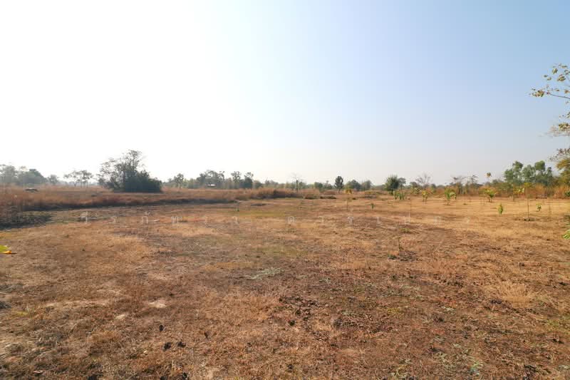 Muang Udon Thani, Udon Thani, Nong Na Kham, Muang Udon Thani, Udon Thani, , 41,868 sqm, Land For Sale, by วีรภัทรา ดาร์เปอร์, 500469650 - DDproperty.com