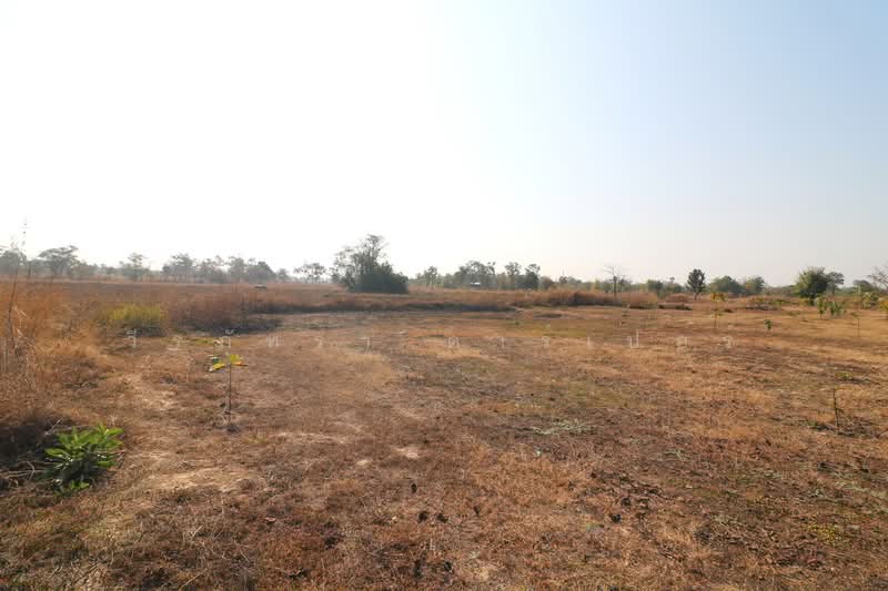 ขายที่ดิน 26+ ไร่ หนองนาคำ อุดรธานี | ที่ดินพัฒนาประเทศไทย, อุดรธานี, หนองนาคำ, เมืองอุดรธานี, อุดรธานี, 41,868 ตร.ม., ที่ดิน ขาย, โดย วีรภัทรา ดาร์เปอร์, 500469650 - DDproperty.com