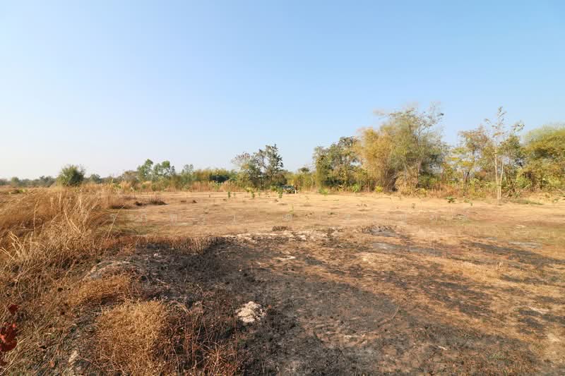 ขายที่ดิน 26+ ไร่ หนองนาคำ อุดรธานี | ที่ดินพัฒนาประเทศไทย, อุดรธานี, หนองนาคำ, เมืองอุดรธานี, อุดรธานี, 41,868 ตร.ม., ที่ดิน ขาย, โดย วีรภัทรา ดาร์เปอร์, 500469650 - DDproperty.com