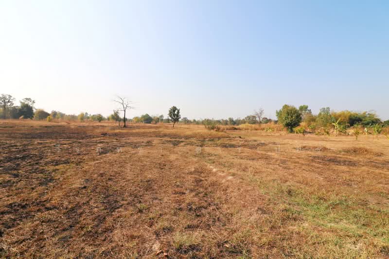 ขายที่ดิน 26+ ไร่ หนองนาคำ อุดรธานี | ที่ดินพัฒนาประเทศไทย, อุดรธานี, หนองนาคำ, เมืองอุดรธานี, อุดรธานี, 41,868 ตร.ม., ที่ดิน ขาย, โดย วีรภัทรา ดาร์เปอร์, 500469650 - DDproperty.com