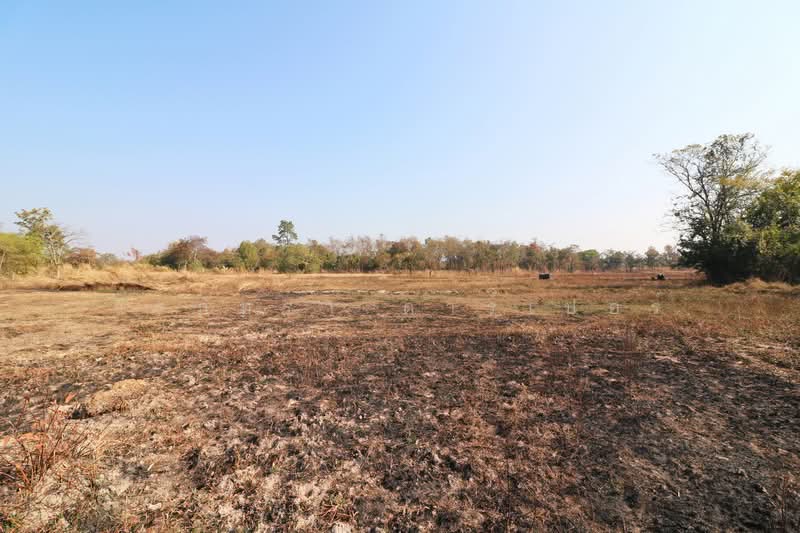ขายที่ดิน 26+ ไร่ หนองนาคำ อุดรธานี | ที่ดินพัฒนาประเทศไทย, อุดรธานี, หนองนาคำ, เมืองอุดรธานี, อุดรธานี, 41,868 ตร.ม., ที่ดิน ขาย, โดย วีรภัทรา ดาร์เปอร์, 500469650 - DDproperty.com