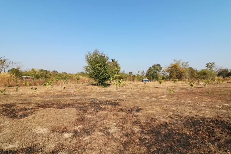 ขายที่ดิน 26+ ไร่ หนองนาคำ อุดรธานี | ที่ดินพัฒนาประเทศไทย, อุดรธานี, หนองนาคำ, เมืองอุดรธานี, อุดรธานี, 41,868 ตร.ม., ที่ดิน ขาย, โดย วีรภัทรา ดาร์เปอร์, 500469650 - DDproperty.com