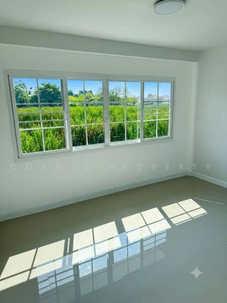 Chomfah warangkul Klong 2, Pathum Thani, Prachathipat, Thanyaburi, Pathum Thani, 2 Bedrooms, 90 sqm, Townhouse For Sale, by Connex Property, 500469667 - DDproperty.com