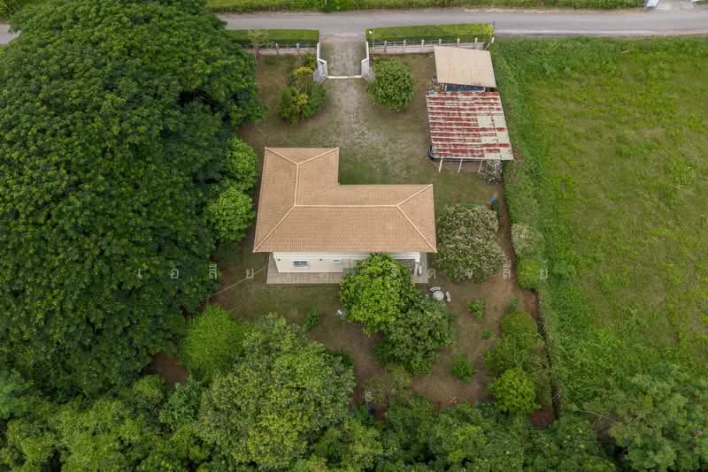 3-Bedroom House on 365 Sq.wah Garden Land, San Klang, San Pa Tong, Chiang Mai, San Khang, San Pa Tong, Chiang Mai, 3 Bedrooms, 128 sqm, Single Detached House For Sale, by Elijah Ridgley, 500469732 - DDproperty.com