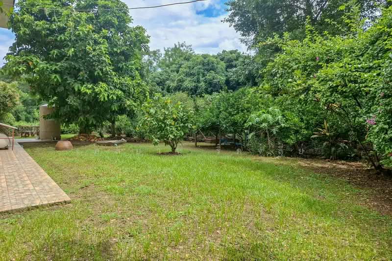 3-Bedroom House on 365 Sq.wah Garden Land, San Klang, San Pa Tong, Chiang Mai, San Khang, San Pa Tong, Chiang Mai, 3 Bedrooms, 128 sqm, Single Detached House For Sale, by Elijah Ridgley, 500469732 - DDproperty.com