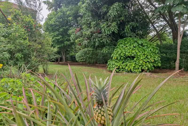 3-Bedroom House on 365 Sq.wah Garden Land, San Klang, San Pa Tong, Chiang Mai, San Khang, San Pa Tong, Chiang Mai, 3 Bedrooms, 128 sqm, Single Detached House For Sale, by Elijah Ridgley, 500469732 - DDproperty.com