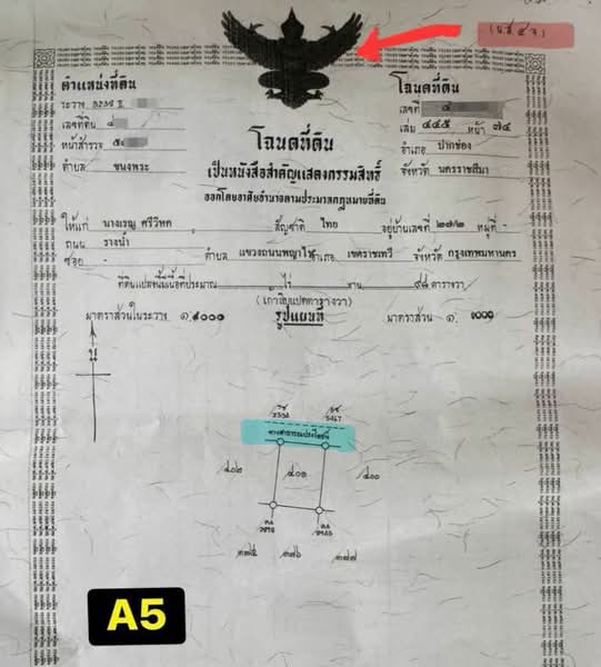 ขายที่ดินเขาใหญ่ วิวภูเขา เนื้อที่ 98 ตารางวา โฉนดครุฑแดง ตำบลขนงพระ อำเภอปากช่อง จังหวัดนครราชสีมา, นครราชสีมา, ขนงพระ, ปากช่อง, นครราชสีมา, 392 ตร.ม., ที่ดิน ขาย, โดย สรภพ ยอดไชย (สีฝุ่น), 500469789 - DDproperty.com