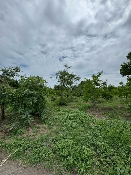 ขายด่วน ที่ดิน ต. ศิลาทิพย์ อ. ชัยบาดาล จ. ลพบุรี, Lop Buri, Silathip, Chai Badan, Lop Buri, , 12,748 sqm, Land For Sale, by คุณแพร, 500469860 - DDproperty.com