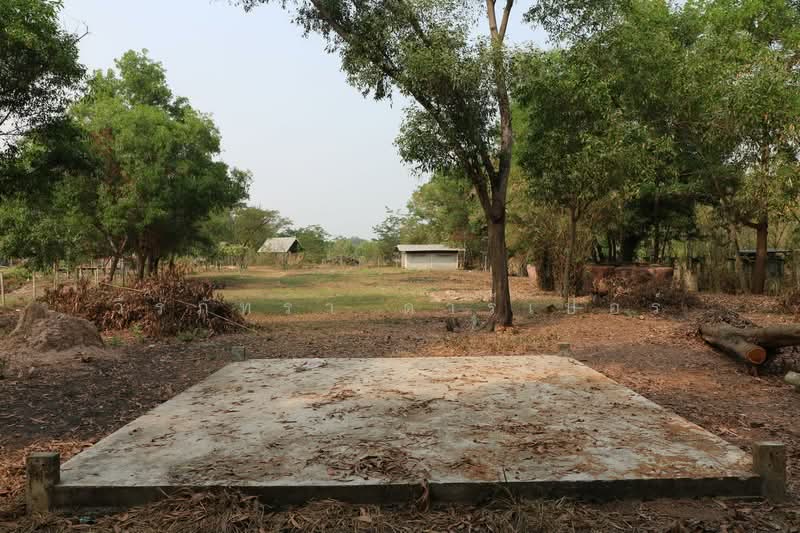 2+ Rai Land for Sale Ban Lueam Udon Thani, Udon Thani, Ban Luam, Muang Udon Thani, Udon Thani, , 3,704 sqm, Land For Sale, by วีรภัทรา ดาร์เปอร์, 500469916 - DDproperty.com