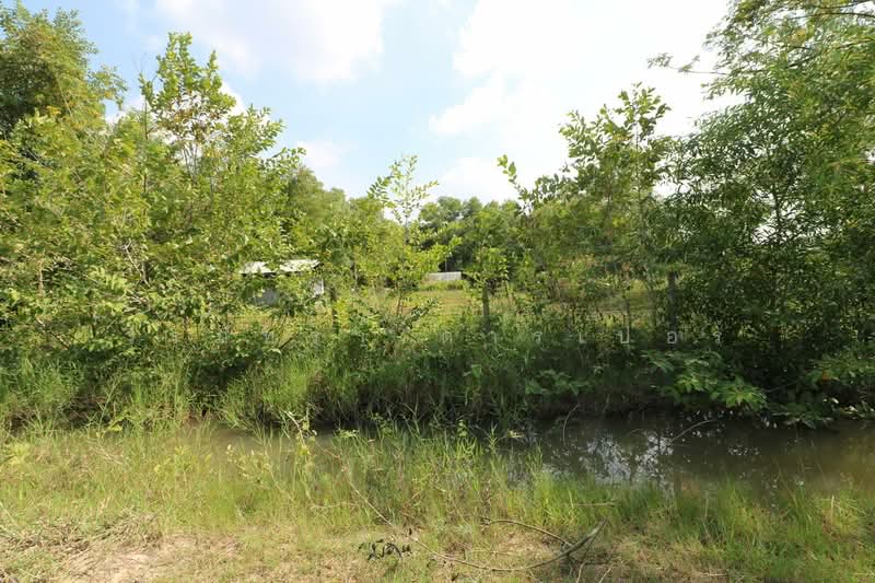 2+ Rai Land for Sale Ban Lueam Udon Thani, Udon Thani, Ban Luam, Muang Udon Thani, Udon Thani, , 3,704 sqm, Land For Sale, by วีรภัทรา ดาร์เปอร์, 500469916 - DDproperty.com