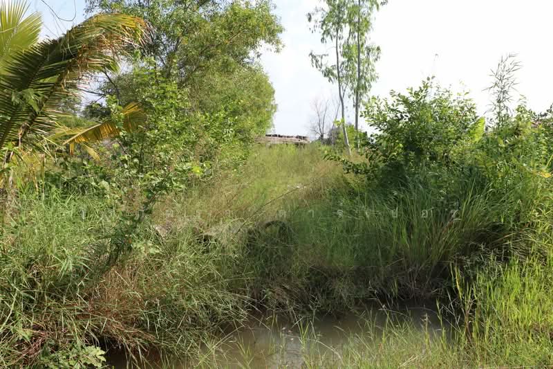 2+ Rai Land for Sale Ban Lueam Udon Thani, Udon Thani, Ban Luam, Muang Udon Thani, Udon Thani, , 3,704 sqm, Land For Sale, by วีรภัทรา ดาร์เปอร์, 500469916 - DDproperty.com