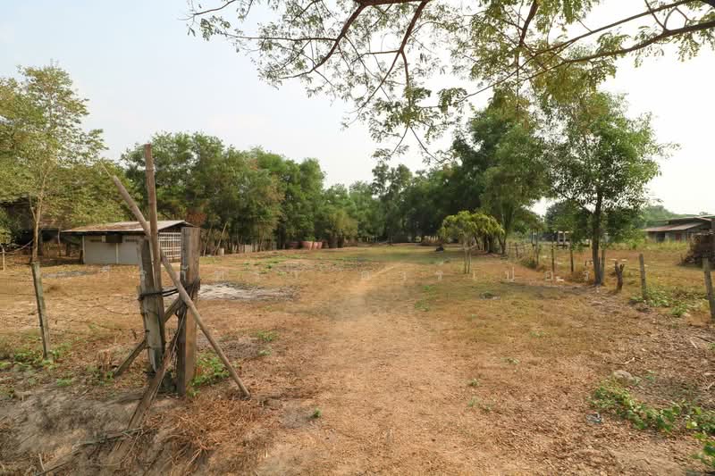 2+ Rai Land for Sale Ban Lueam Udon Thani, Udon Thani, Ban Luam, Muang Udon Thani, Udon Thani, , 3,704 sqm, Land For Sale, by วีรภัทรา ดาร์เปอร์, 500469916 - DDproperty.com