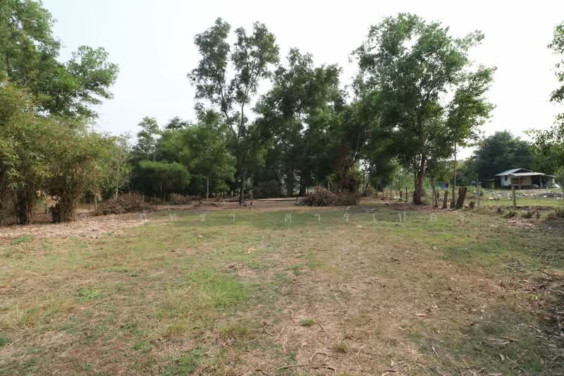 2+ Rai Land for Sale Ban Lueam Udon Thani, Udon Thani, Ban Luam, Muang Udon Thani, Udon Thani, , 3,704 sqm, Land For Sale, by วีรภัทรา ดาร์เปอร์, 500469916 - DDproperty.com