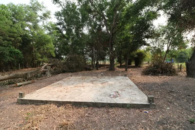 2+ Rai Land for Sale Ban Lueam Udon Thani, Udon Thani, Ban Luam, Muang Udon Thani, Udon Thani, , 3,704 sqm, Land For Sale, by วีรภัทรา ดาร์เปอร์, 500469916 - DDproperty.com