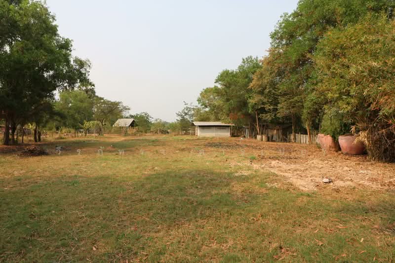 2+ Rai Land for Sale Ban Lueam Udon Thani, Udon Thani, Ban Luam, Muang Udon Thani, Udon Thani, , 3,704 sqm, Land For Sale, by วีรภัทรา ดาร์เปอร์, 500469916 - DDproperty.com