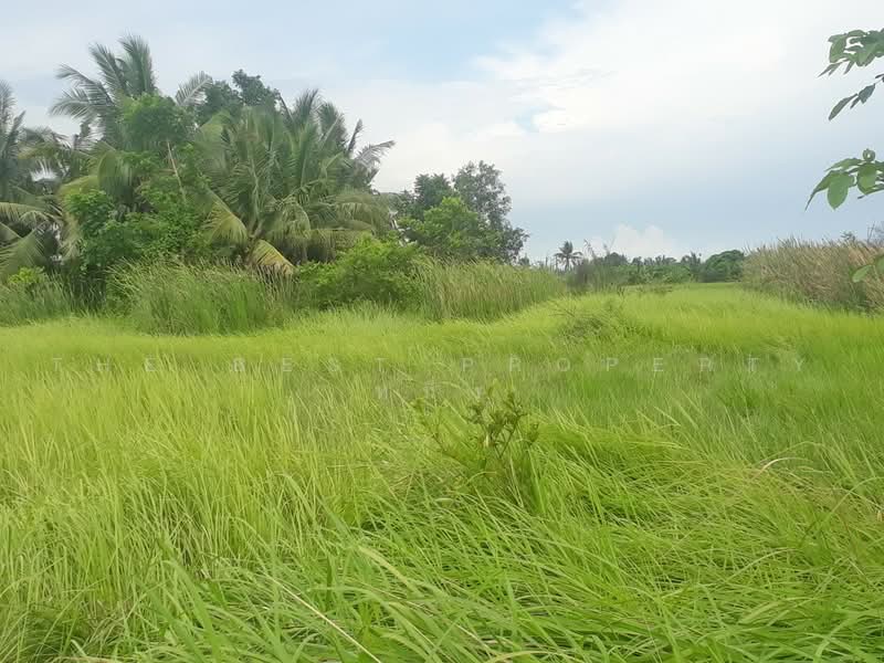 ที่ดินหนองจอก กรุงเทพมหานคร, กรุงเทพ, หนองจอก, กรุงเทพ, 348 ตร.ม., ที่ดิน ขาย, โดย The Best Property หนึ่ง, 500469990 - DDproperty.com