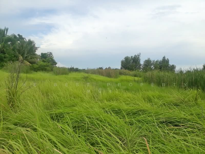 ที่ดินหนองจอก กรุงเทพมหานคร, กรุงเทพ, หนองจอก, กรุงเทพ, 348 ตร.ม., ที่ดิน ขาย, โดย The Best Property หนึ่ง, 500469990 - DDproperty.com