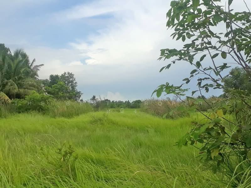 ที่ดินหนองจอก กรุงเทพมหานคร, Bangkok, Nong Chok, Bangkok, , 348 sqm, Land For Sale, by The Best Property หนึ่ง, 500469990 - DDproperty.com