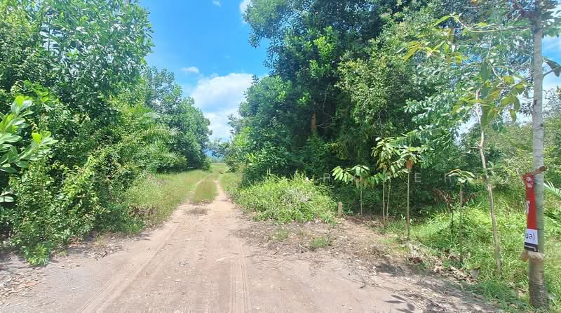 ที่ดินปากพูน นครศรีธรรมราช, Nakhon Si Thammarat, Pak Phun, Muang Nakhon Sri Thammarat, Nakhon Si Thammarat, , 1,612 sqm, Land For Sale, by The Best Property เบล, 500470025 - DDproperty.com