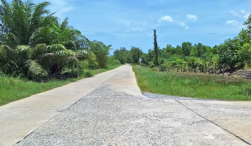 ที่ดินปากพูน นครศรีธรรมราช, Nakhon Si Thammarat, Pak Phun, Muang Nakhon Sri Thammarat, Nakhon Si Thammarat, , 1,612 sqm, Land For Sale, by The Best Property เบล, 500470025 - DDproperty.com
