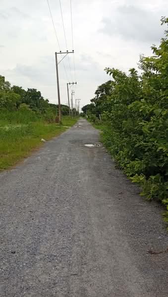 แสนแสบ, Bangkok, Saen Sab, Min Buri, Bangkok, , 1,692 sqm, Land For Sale, by กิตติยา บังใบ, 500470027 - DDproperty.com