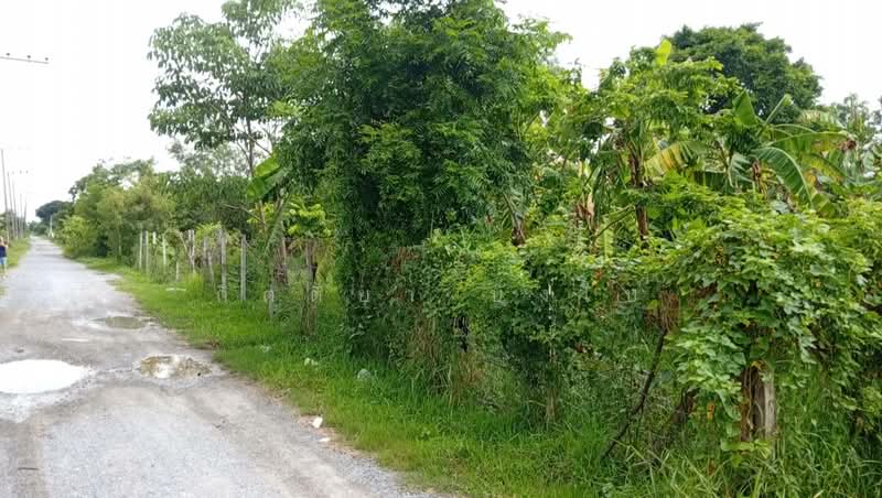 แสนแสบ, Bangkok, Saen Sab, Min Buri, Bangkok, , 1,692 sqm, Land For Sale, by กิตติยา บังใบ, 500470027 - DDproperty.com