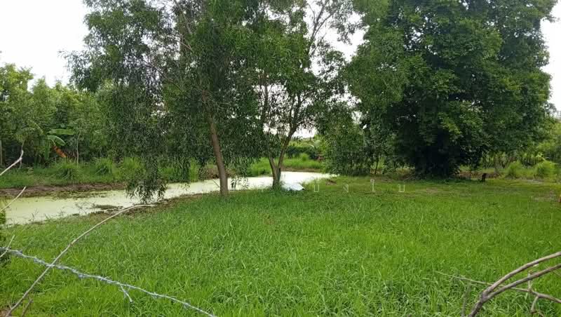 แสนแสบ, กรุงเทพ, แสนแสบ, มีนบุรี, กรุงเทพ, 1,692 ตร.ม., ที่ดิน ขาย, โดย กิตติยา บังใบ, 500470027 - DDproperty.com