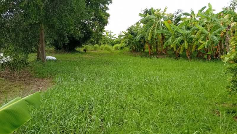 แสนแสบ, Bangkok, Saen Sab, Min Buri, Bangkok, , 1,692 sqm, Land For Sale, by กิตติยา บังใบ, 500470027 - DDproperty.com