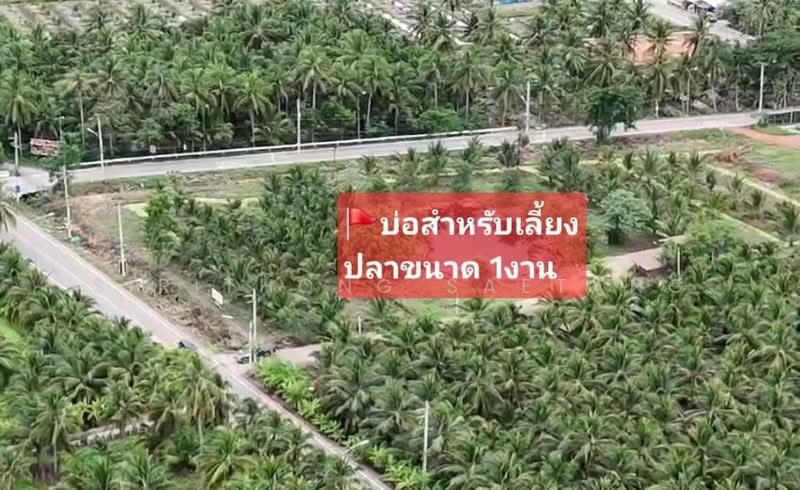 Land for sale in Amphawa, Samut Songkhram, Corner plot with road frontage on two sides, Samut Songkhram, 3011, Tha Kha, Amphawa, Samut Songkhram, , 8,400 sqm, Land For Sale, by Sirithong Saetang, 500470057 - DDproperty.com