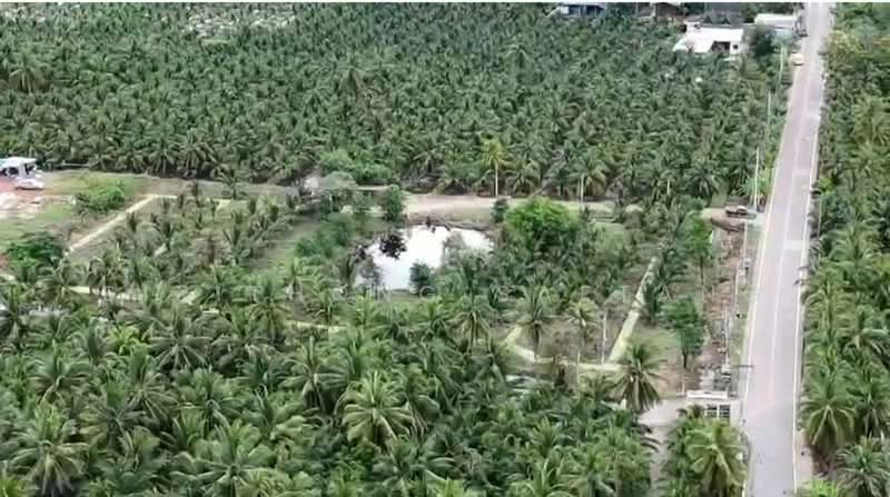 Land for sale in Amphawa, Samut Songkhram, Corner plot with road frontage on two sides, Samut Songkhram, 3011, Tha Kha, Amphawa, Samut Songkhram, , 8,400 sqm, Land For Sale, by Sirithong Saetang, 500470057 - DDproperty.com