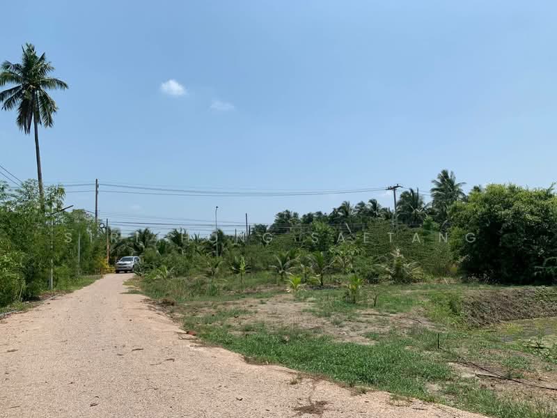 Land for sale in Amphawa, Samut Songkhram, Corner plot with road frontage on two sides, Samut Songkhram, 3011, Tha Kha, Amphawa, Samut Songkhram, , 8,400 sqm, Land For Sale, by Sirithong Saetang, 500470057 - DDproperty.com