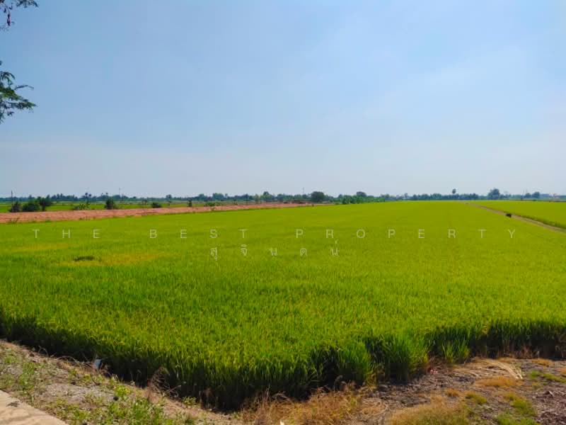 ที่ดินไทรน้อย นนทบุรี, นนทบุรี, หนองเพรางาย, ไทรน้อย, นนทบุรี, 20,836 ตร.ม., ที่ดิน ขาย, โดย The Best Property สุจินตน์, 500470066 - DDproperty.com