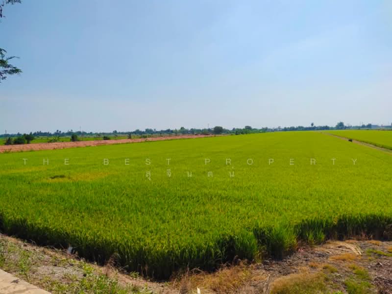 ที่ดินไทรน้อย นนทบุรี, นนทบุรี, หนองเพรางาย, ไทรน้อย, นนทบุรี, 20,836 ตร.ม., ที่ดิน ขาย, โดย The Best Property สุจินตน์, 500470066 - DDproperty.com