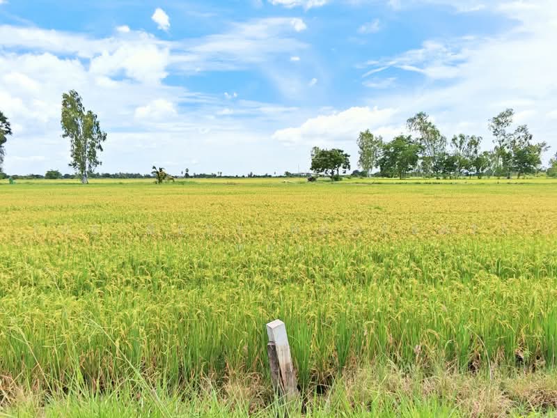ที่ดินอู่ทอง สุพรรณบุรี, Suphan Buri, Don Ka, U Thong, Suphan Buri, , 6,444 sqm, Land For Sale, by The Best Property ต้อม, 500470070 - DDproperty.com