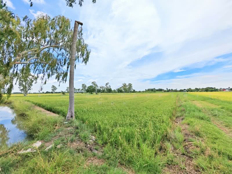 ที่ดินอู่ทอง สุพรรณบุรี, สุพรรณบุรี, ดอนคา, อู่ทอง, สุพรรณบุรี, 6,444 ตร.ม., ที่ดิน ขาย, โดย The Best Property ต้อม, 500470070 - DDproperty.com