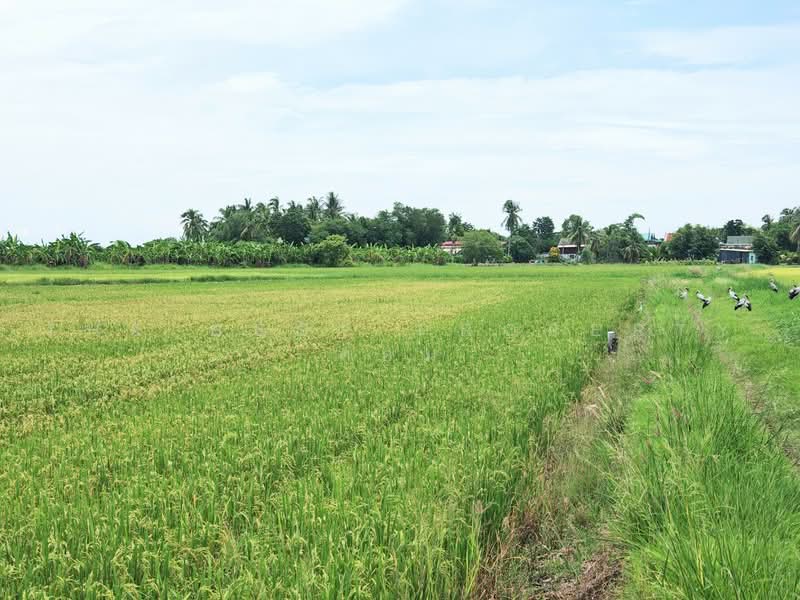 ที่ดินอู่ทอง สุพรรณบุรี, Suphan Buri, Don Ka, U Thong, Suphan Buri, , 6,444 sqm, Land For Sale, by The Best Property ต้อม, 500470070 - DDproperty.com
