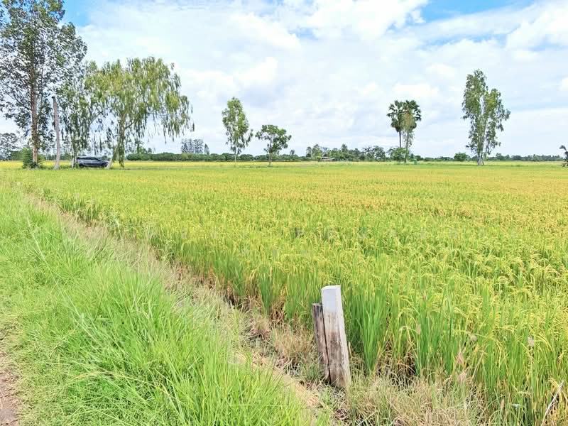 ที่ดินอู่ทอง สุพรรณบุรี, Suphan Buri, Don Ka, U Thong, Suphan Buri, , 6,444 sqm, Land For Sale, by The Best Property ต้อม, 500470070 - DDproperty.com