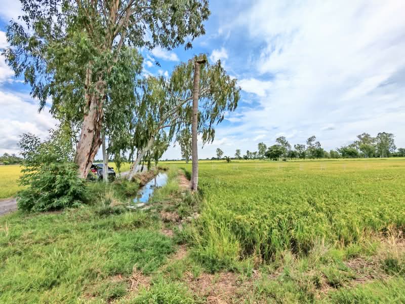 ที่ดินอู่ทอง สุพรรณบุรี, Suphan Buri, Don Ka, U Thong, Suphan Buri, , 6,444 sqm, Land For Sale, by The Best Property ต้อม, 500470070 - DDproperty.com