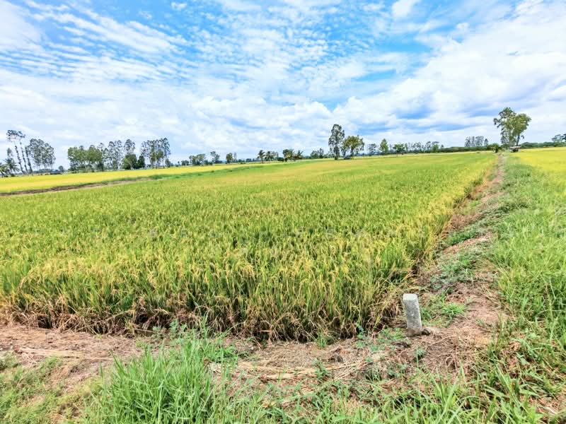 ที่ดินอู่ทอง สุพรรณบุรี, สุพรรณบุรี, ดอนคา, อู่ทอง, สุพรรณบุรี, 6,444 ตร.ม., ที่ดิน ขาย, โดย The Best Property ต้อม, 500470070 - DDproperty.com