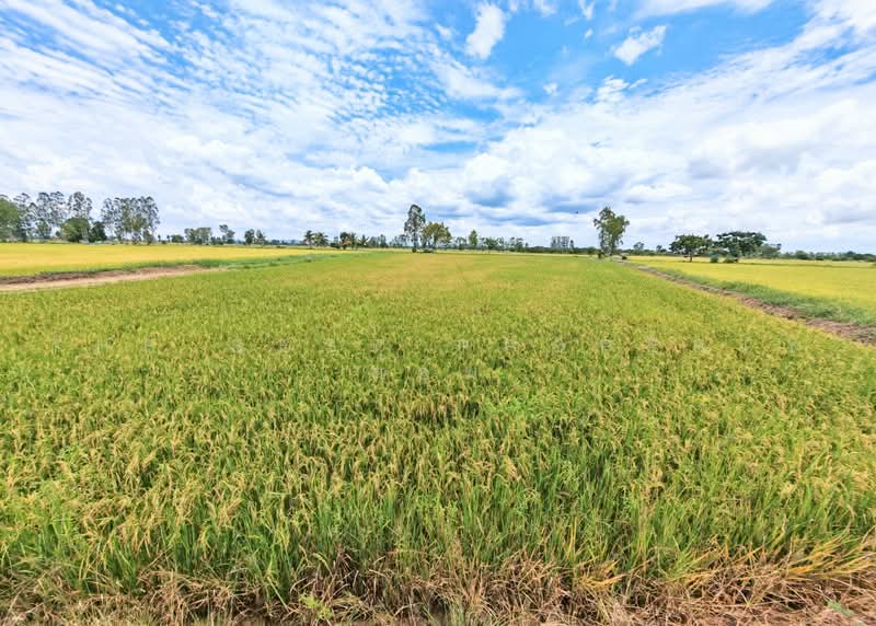 ที่ดินอู่ทอง สุพรรณบุรี, สุพรรณบุรี, ดอนคา, อู่ทอง, สุพรรณบุรี, 6,444 ตร.ม., ที่ดิน ขาย, โดย The Best Property ต้อม, 500470070 - DDproperty.com