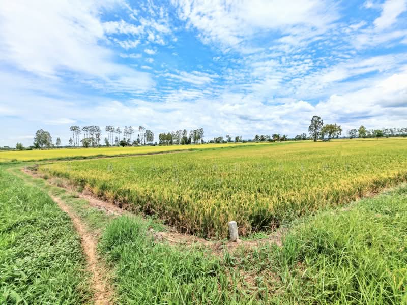 ที่ดินอู่ทอง สุพรรณบุรี, Suphan Buri, Don Ka, U Thong, Suphan Buri, , 6,444 sqm, Land For Sale, by The Best Property ต้อม, 500470070 - DDproperty.com