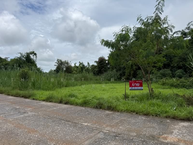 ที่ดินฝาง เชียงใหม่, Chiang Mai, Wiang, Fang, Chiang Mai, , 6,228 sqm, Land For Sale, by The Best Property บอย, 500470087 - DDproperty.com
