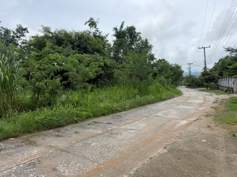 ที่ดินฝาง เชียงใหม่, Chiang Mai, Wiang, Fang, Chiang Mai, , 6,228 sqm, Land For Sale, by The Best Property บอย, 500470087 - DDproperty.com