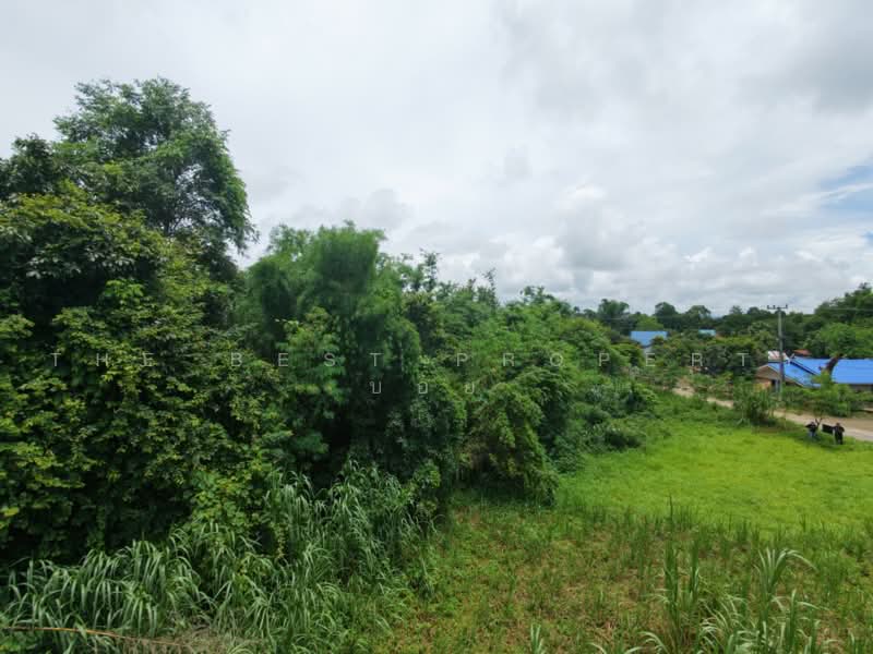 ที่ดินฝาง เชียงใหม่, Chiang Mai, Wiang, Fang, Chiang Mai, , 6,228 sqm, Land For Sale, by The Best Property บอย, 500470087 - DDproperty.com